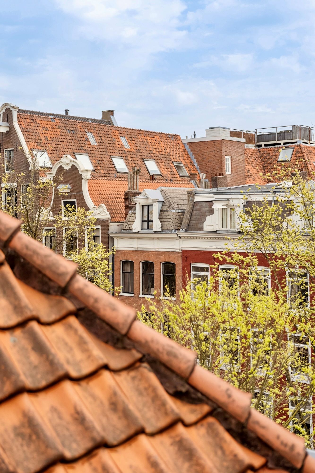 Photo 49 of Lauriergracht 164-3