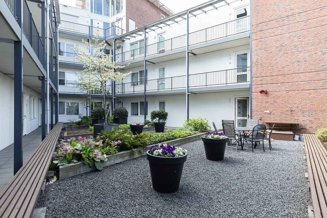 Photo 8 of Oranjehof 1