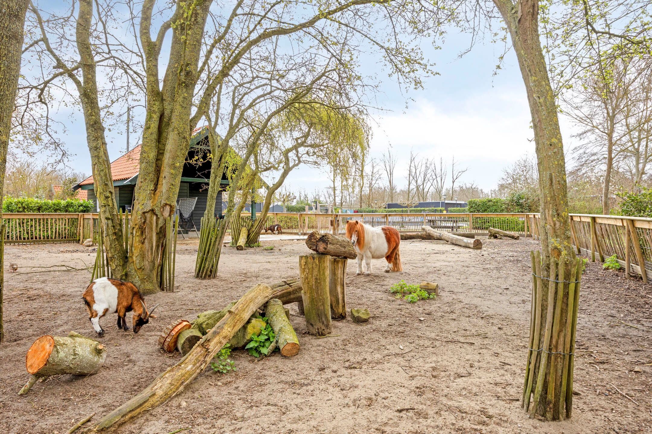 Photo 21 of Buitenhuizerweg 2-107