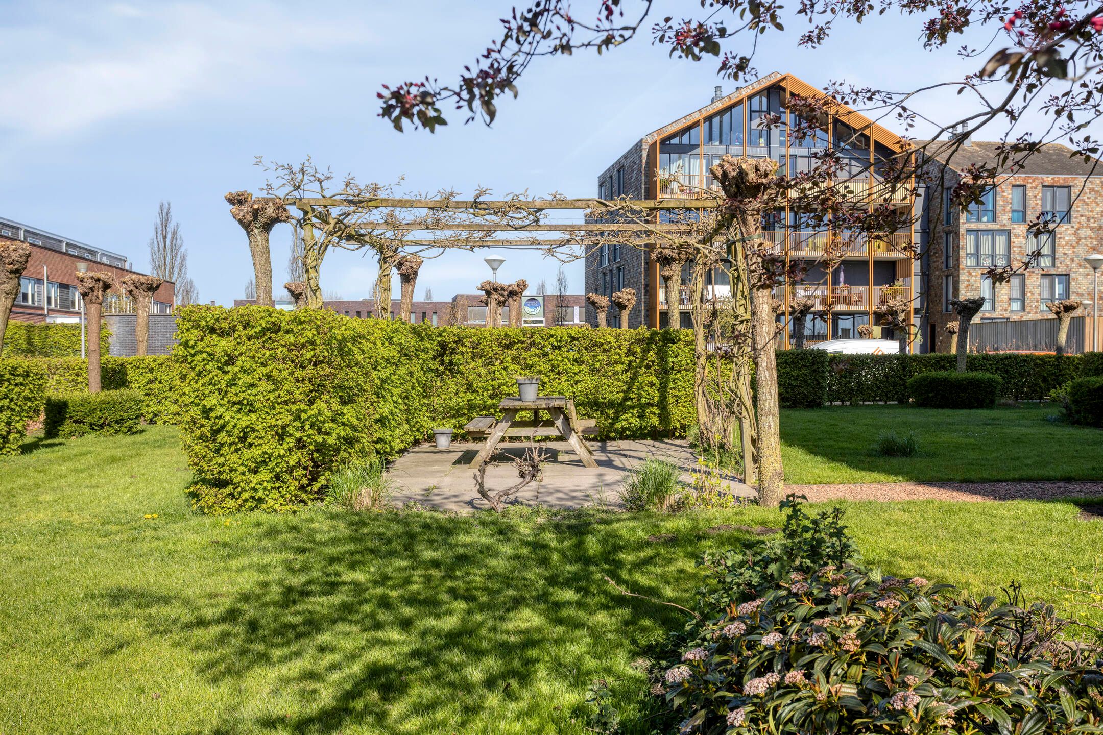 Photo 33 of Garen 36