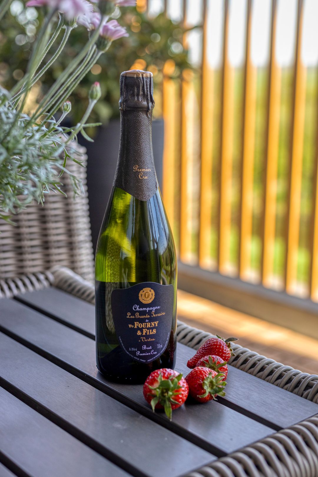 Photo 22 of Garen 36