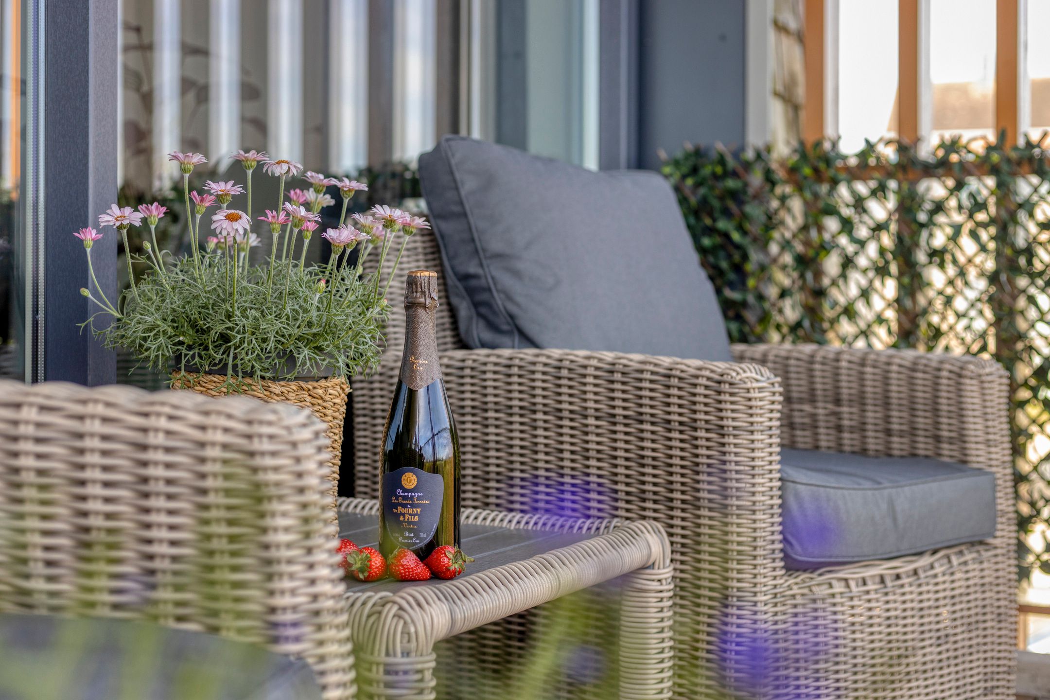 Photo 21 of Garen 36