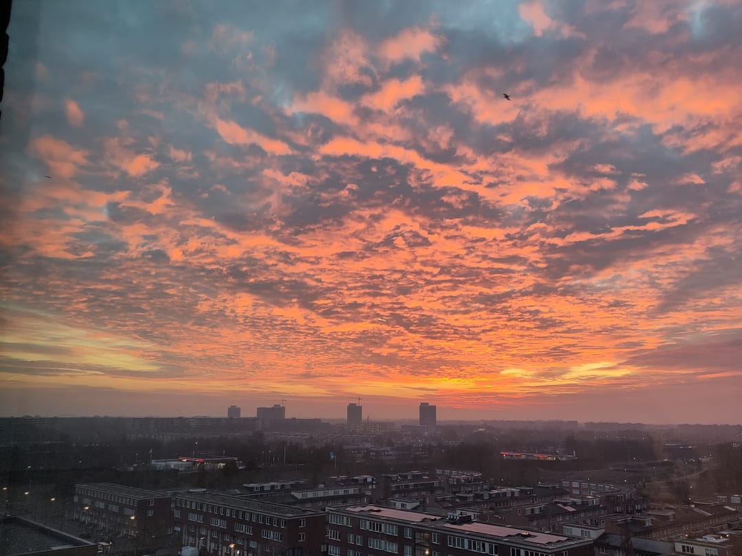 Foto 28 van Raoul Wallenbergstraat 173