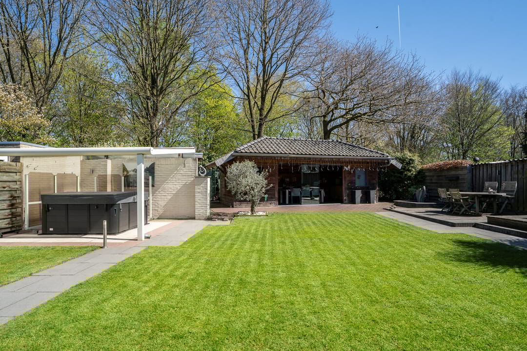 Photo 32 of Dissel 113