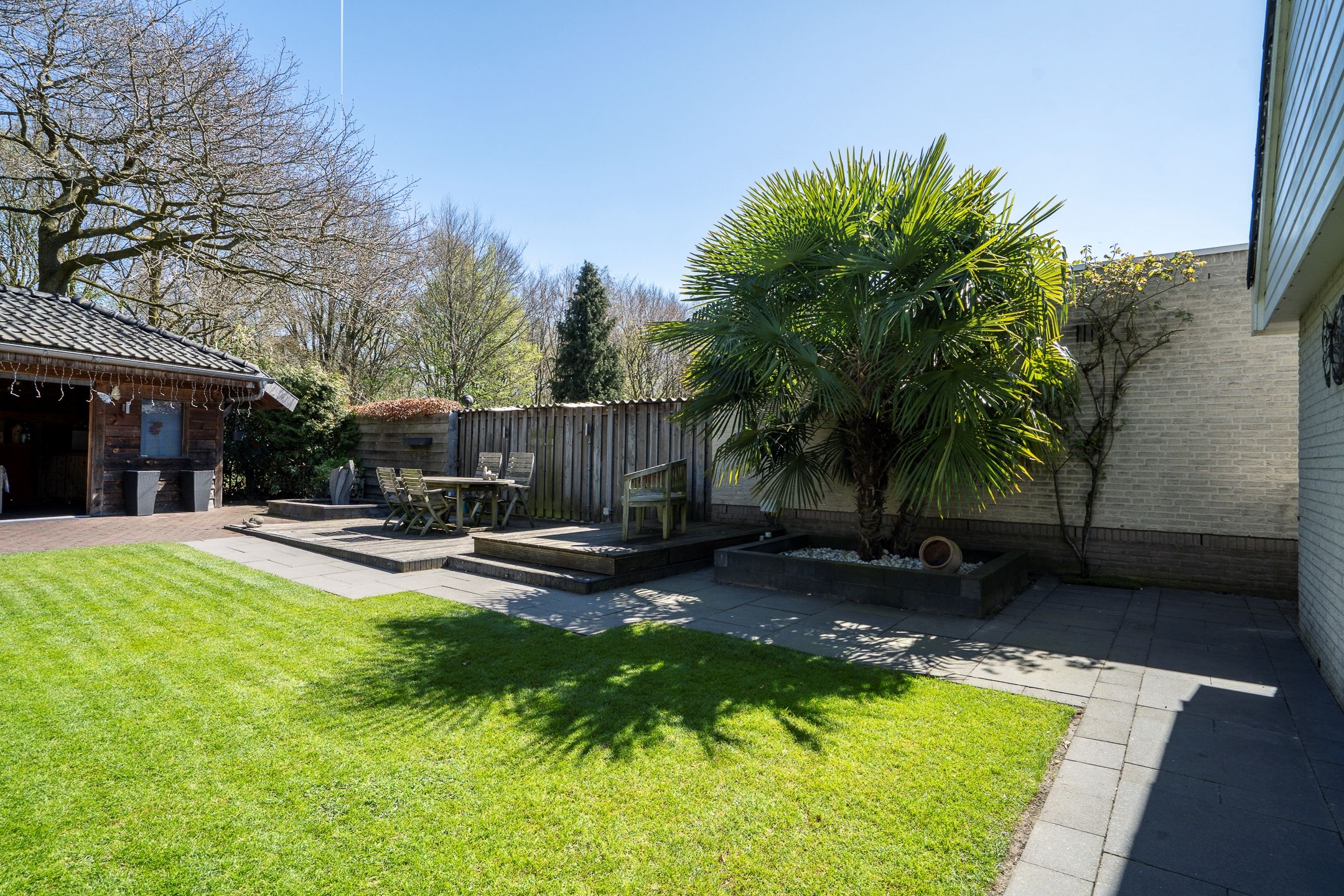 Photo 33 of Dissel 113