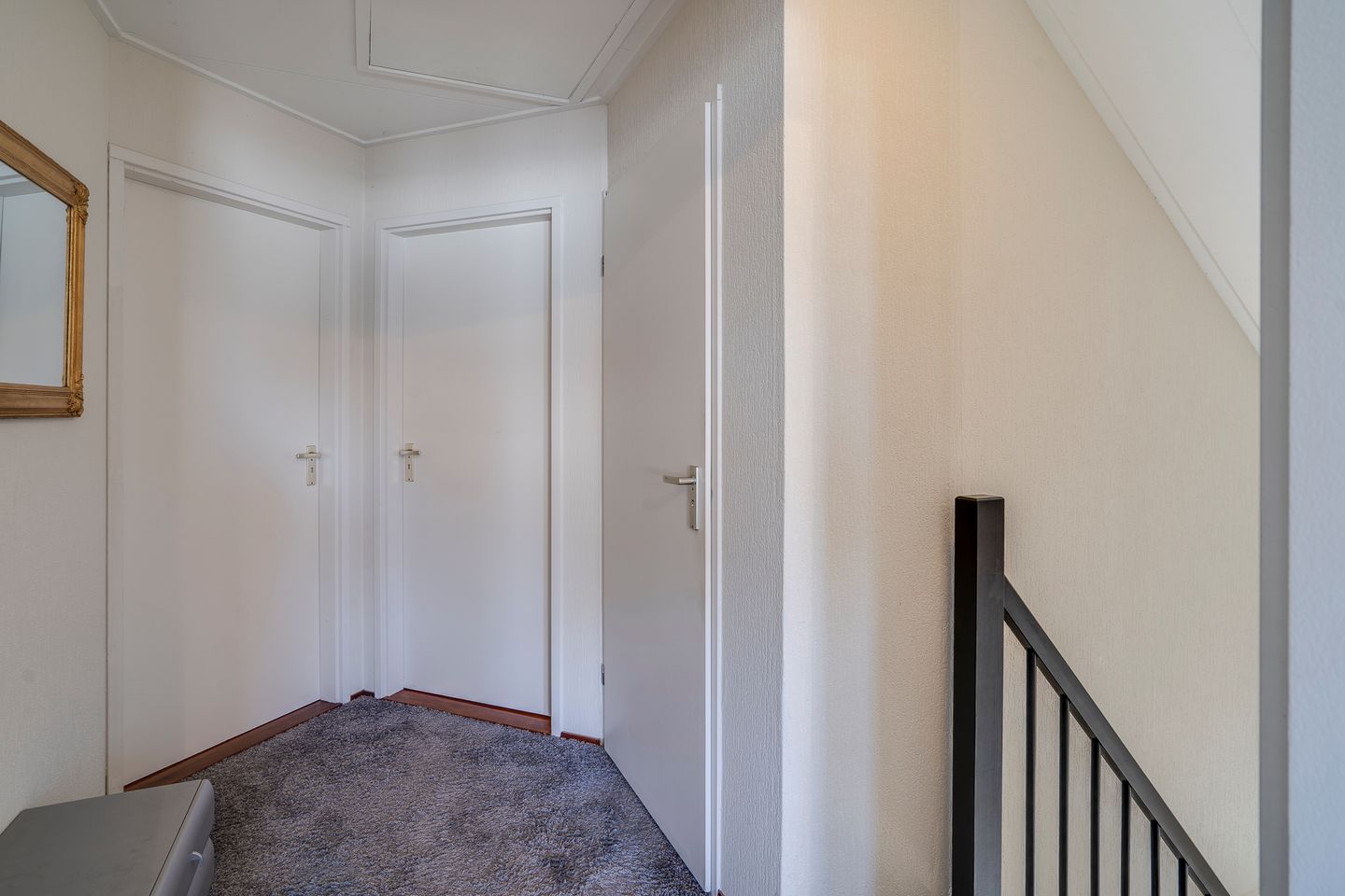 Photo 50 of Dissel 113