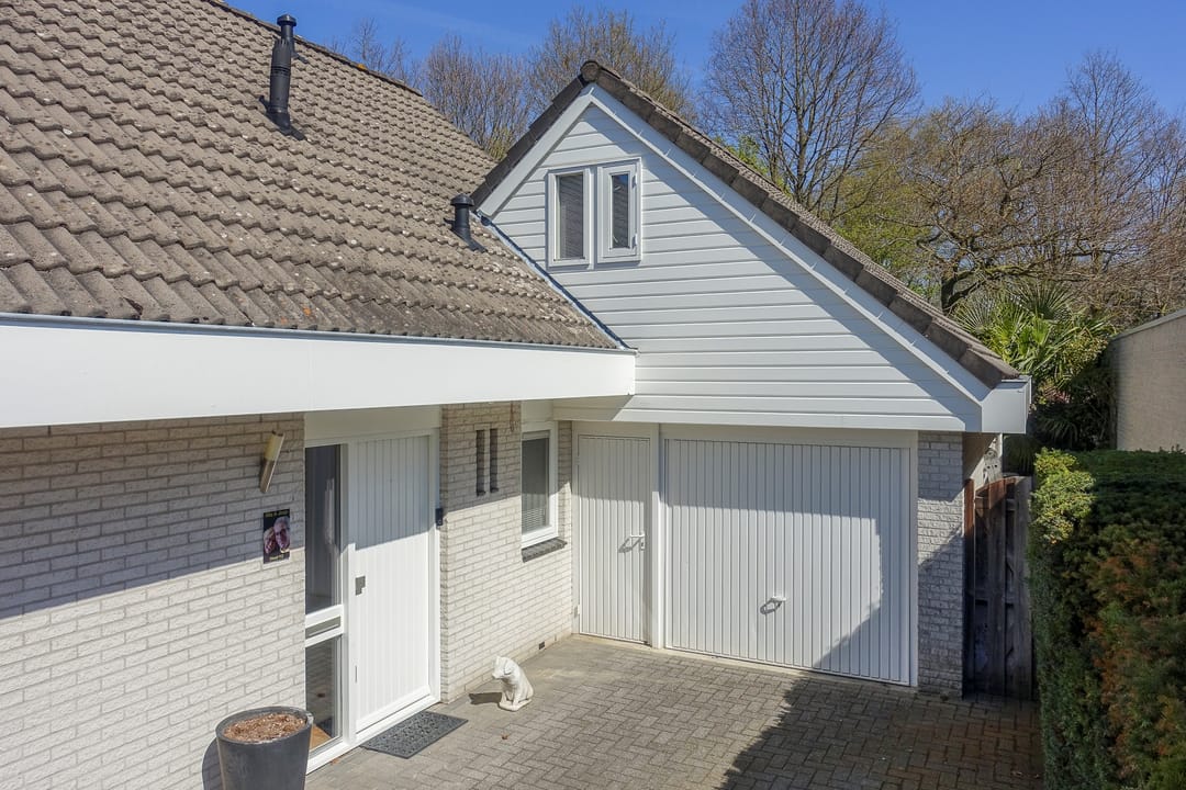 Photo 8 of Dissel 113