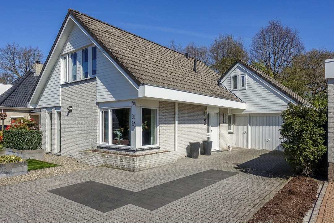 Photo 7 of Dissel 113