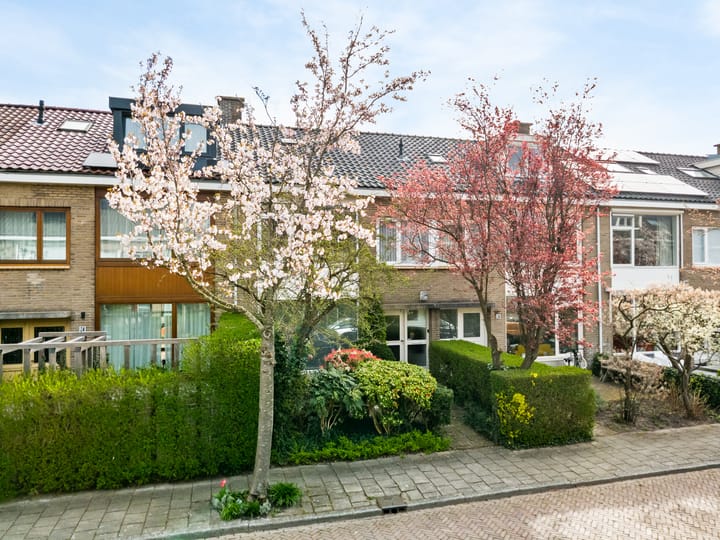 Foto 4 van Witte de Withlaan 22