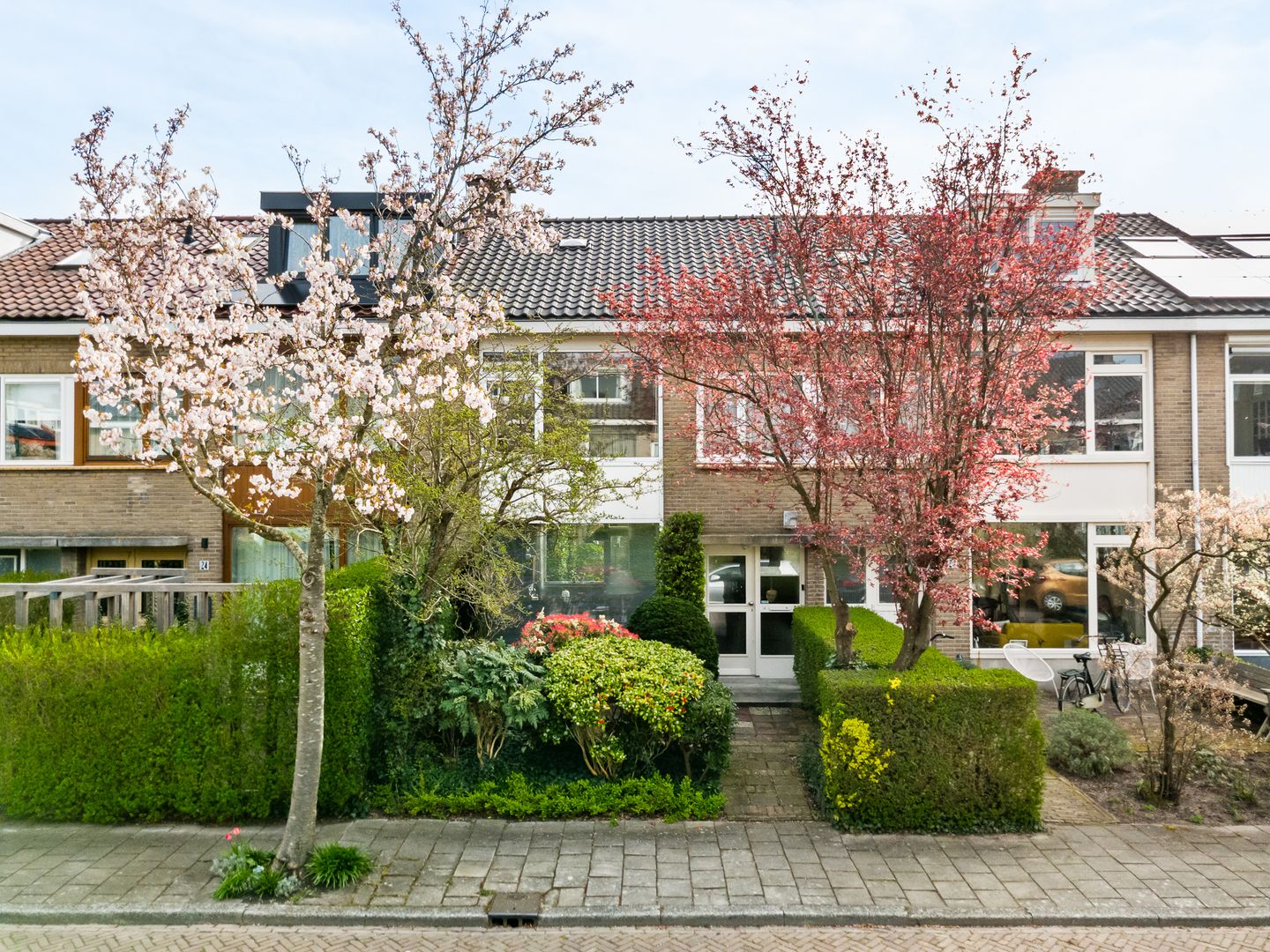Witte de Withlaan 22