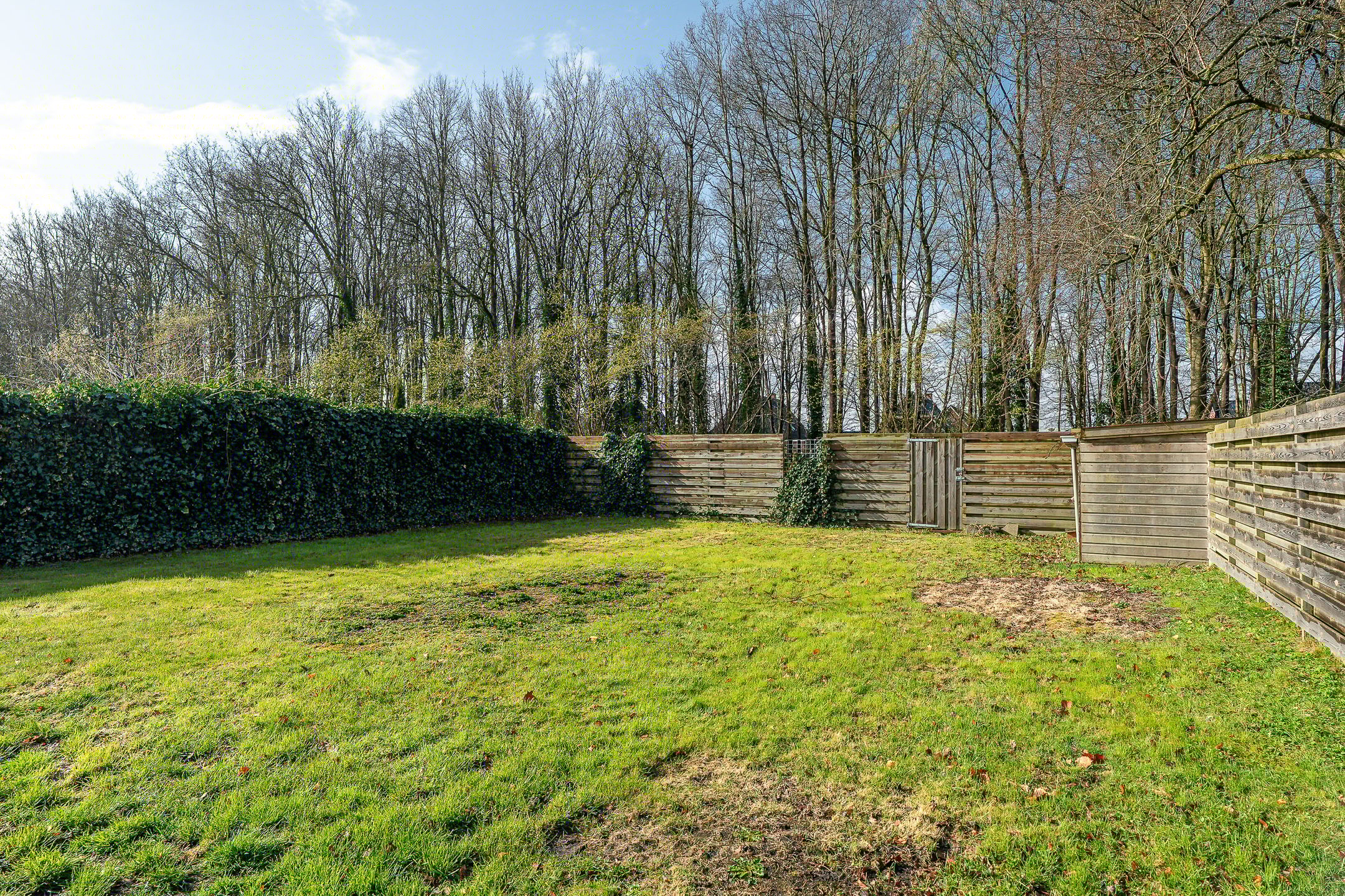 Foto 3 van Meenteweg 42