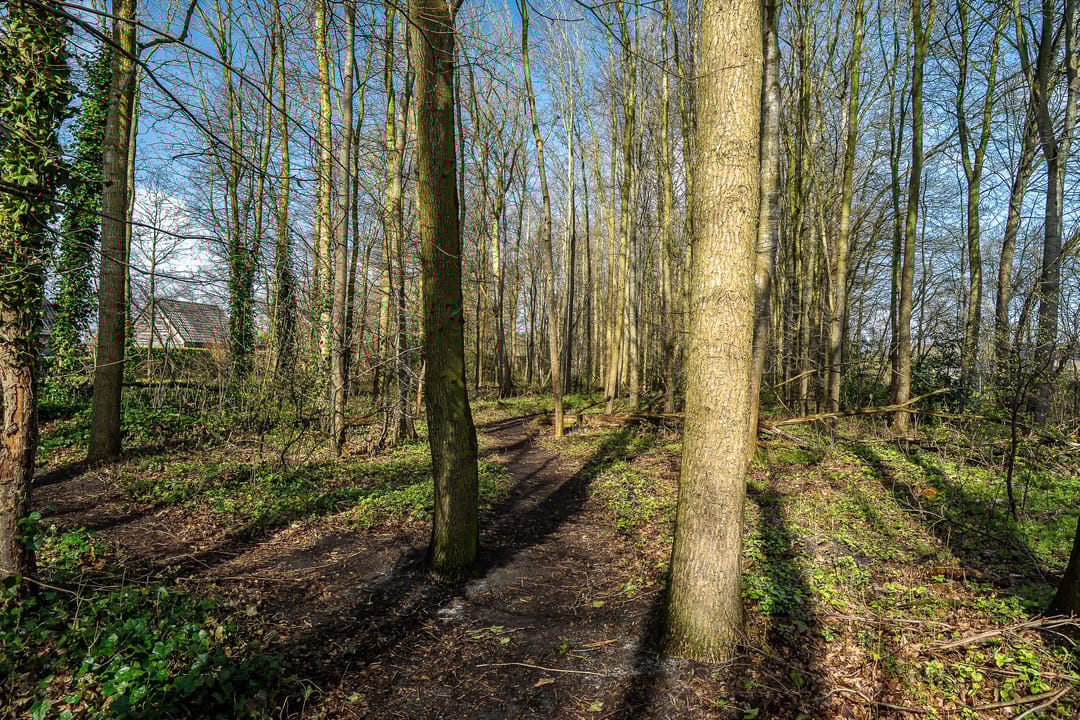 Foto 47 van Meenteweg 42