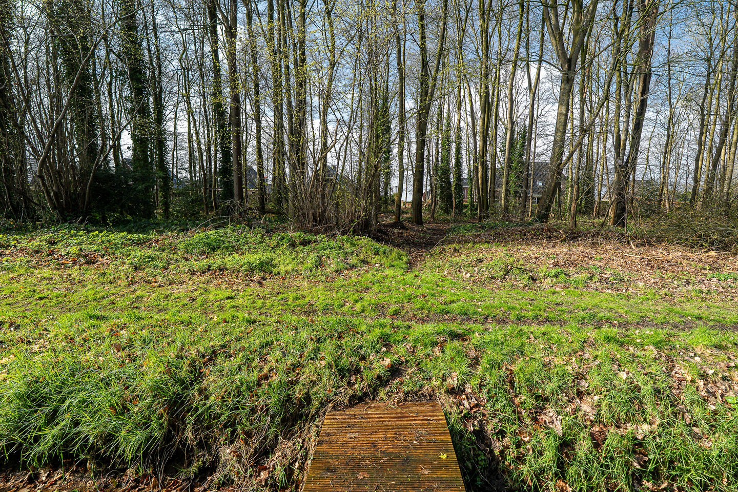 Foto 49 van Meenteweg 42