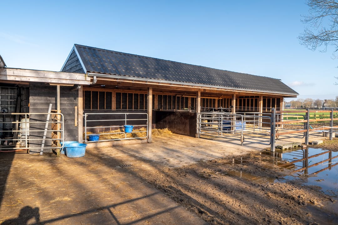 Foto 98 van Hoofdweg 91