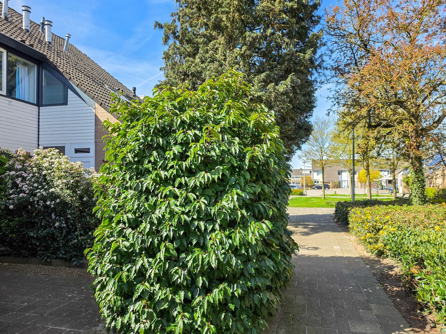 Foto 94 van Godfried Bomansstraat 104