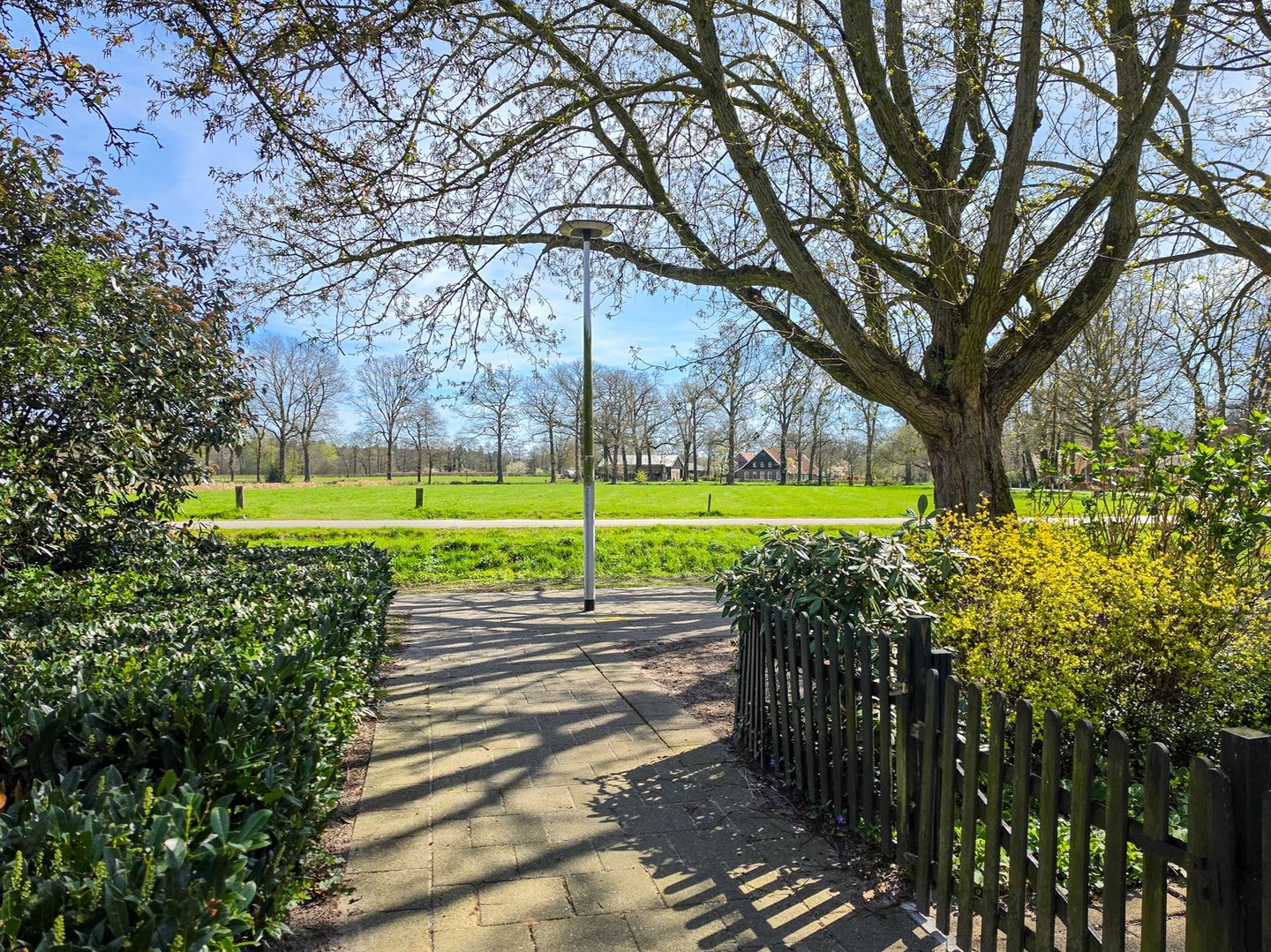 Foto 95 van Godfried Bomansstraat 104