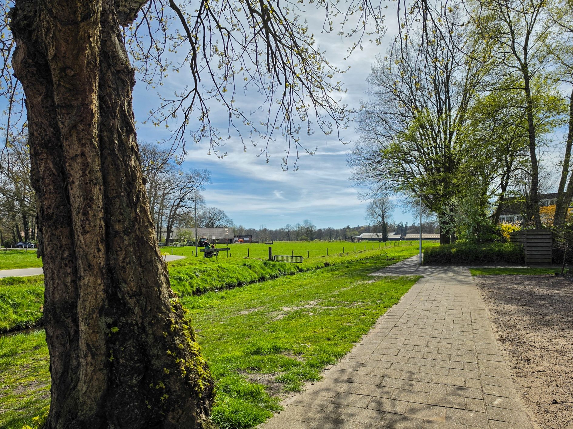 Foto 96 van Godfried Bomansstraat 104