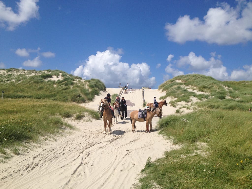 Foto 21 van Ankerplaats 12