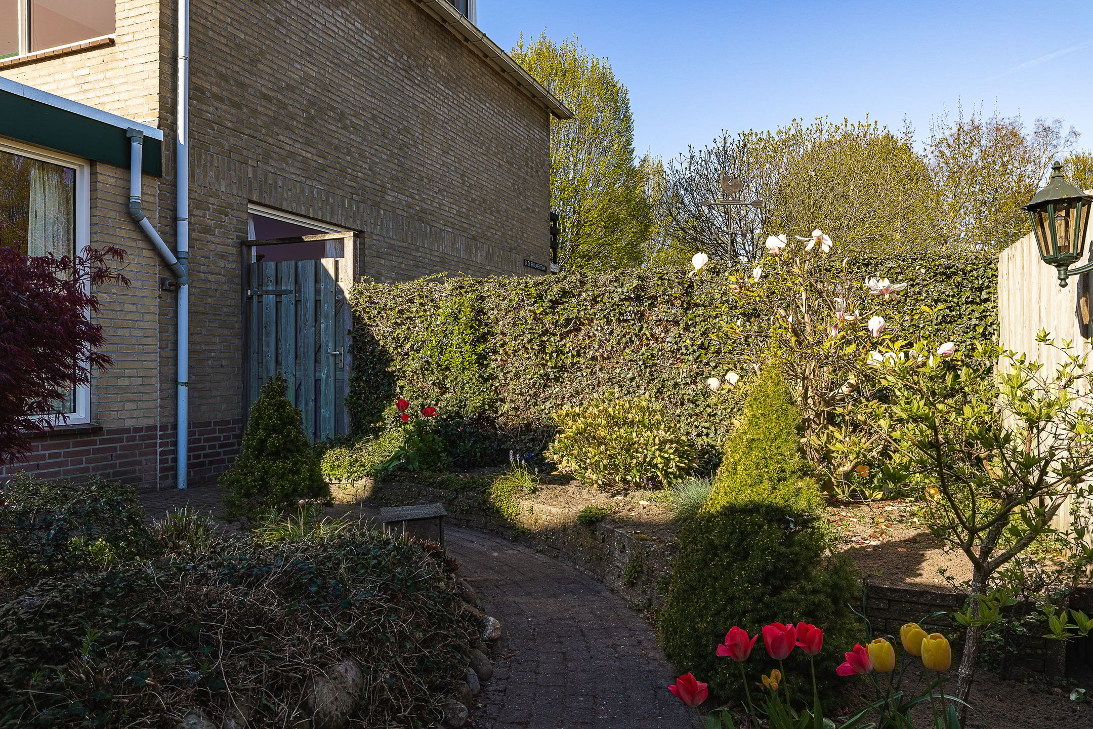 Photo 63 of Brabantlaan 51