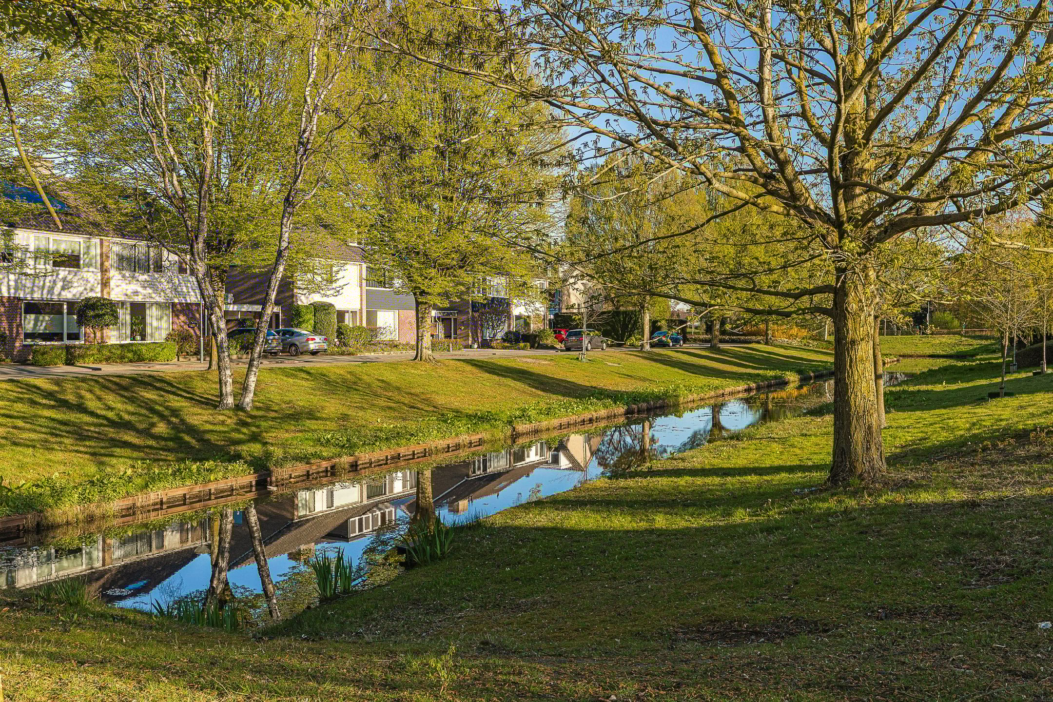 Photo 90 of Brabantlaan 51