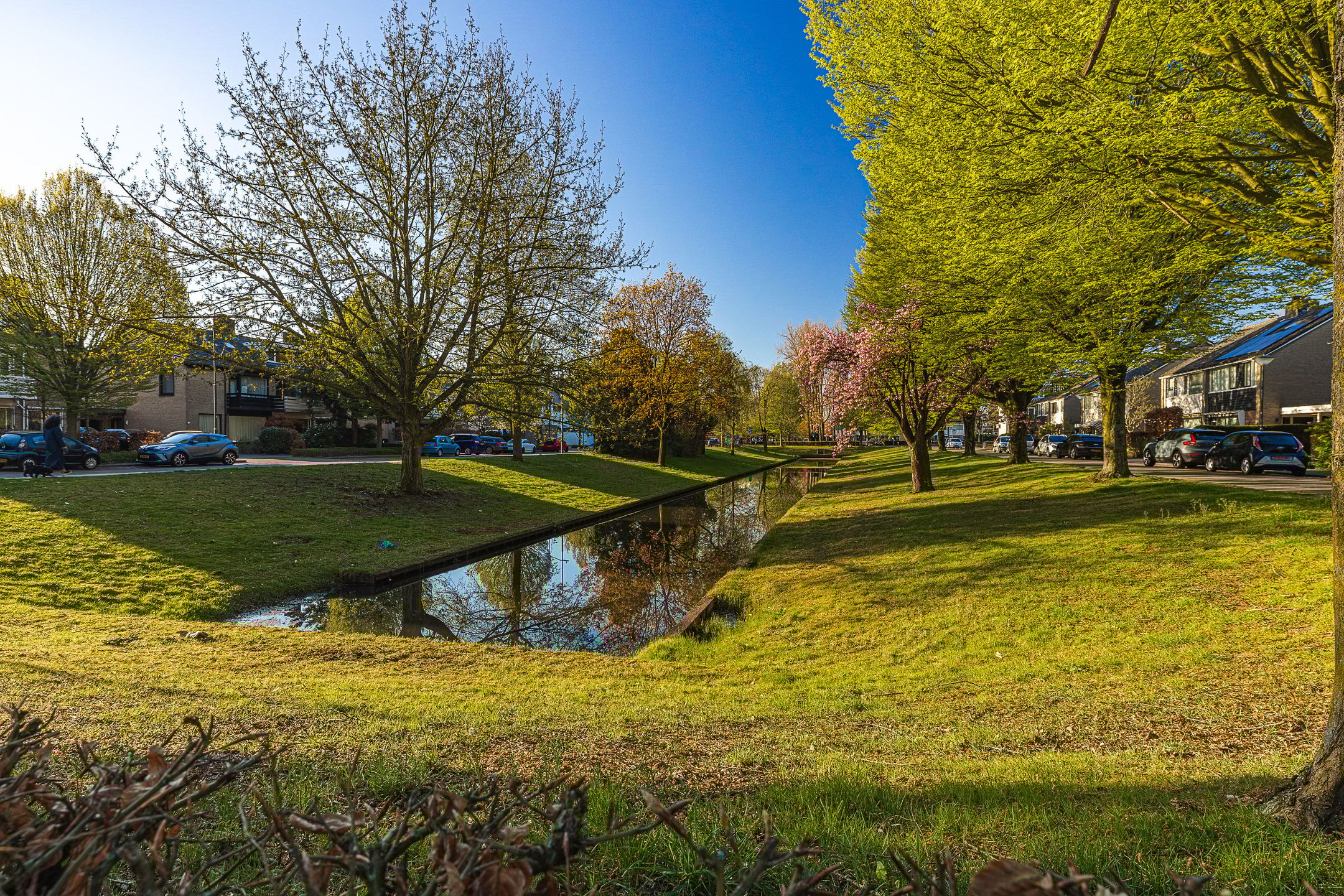 Photo 93 of Brabantlaan 51