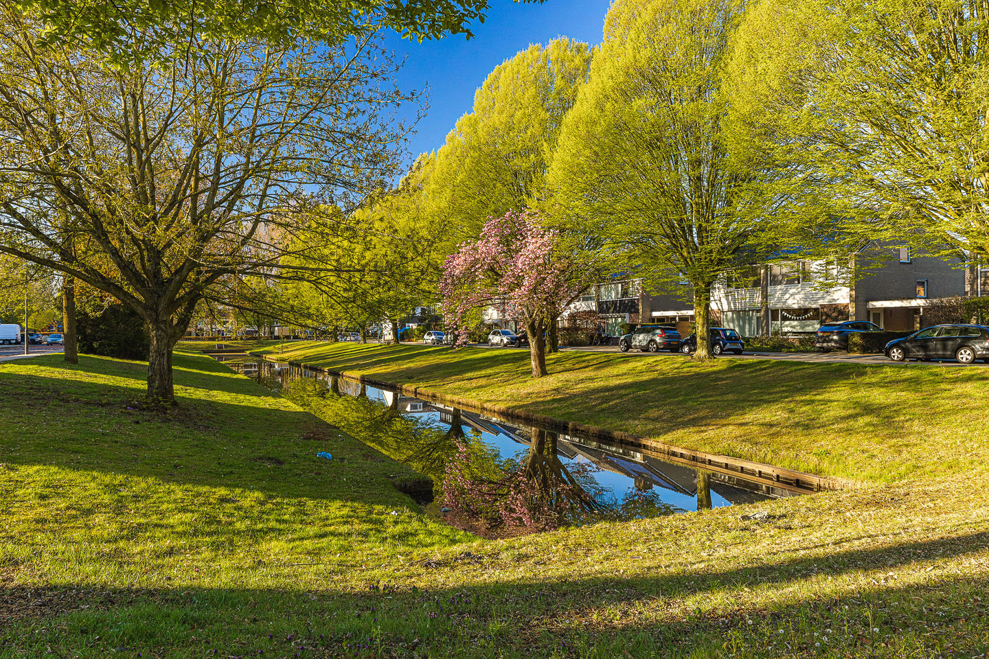 Photo 94 of Brabantlaan 51