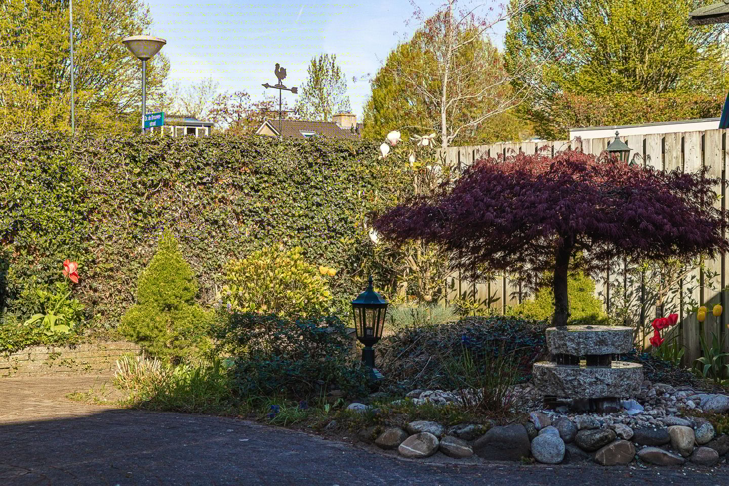 Photo 64 of Brabantlaan 51