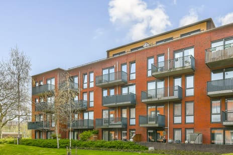 Windestraat thumbnail