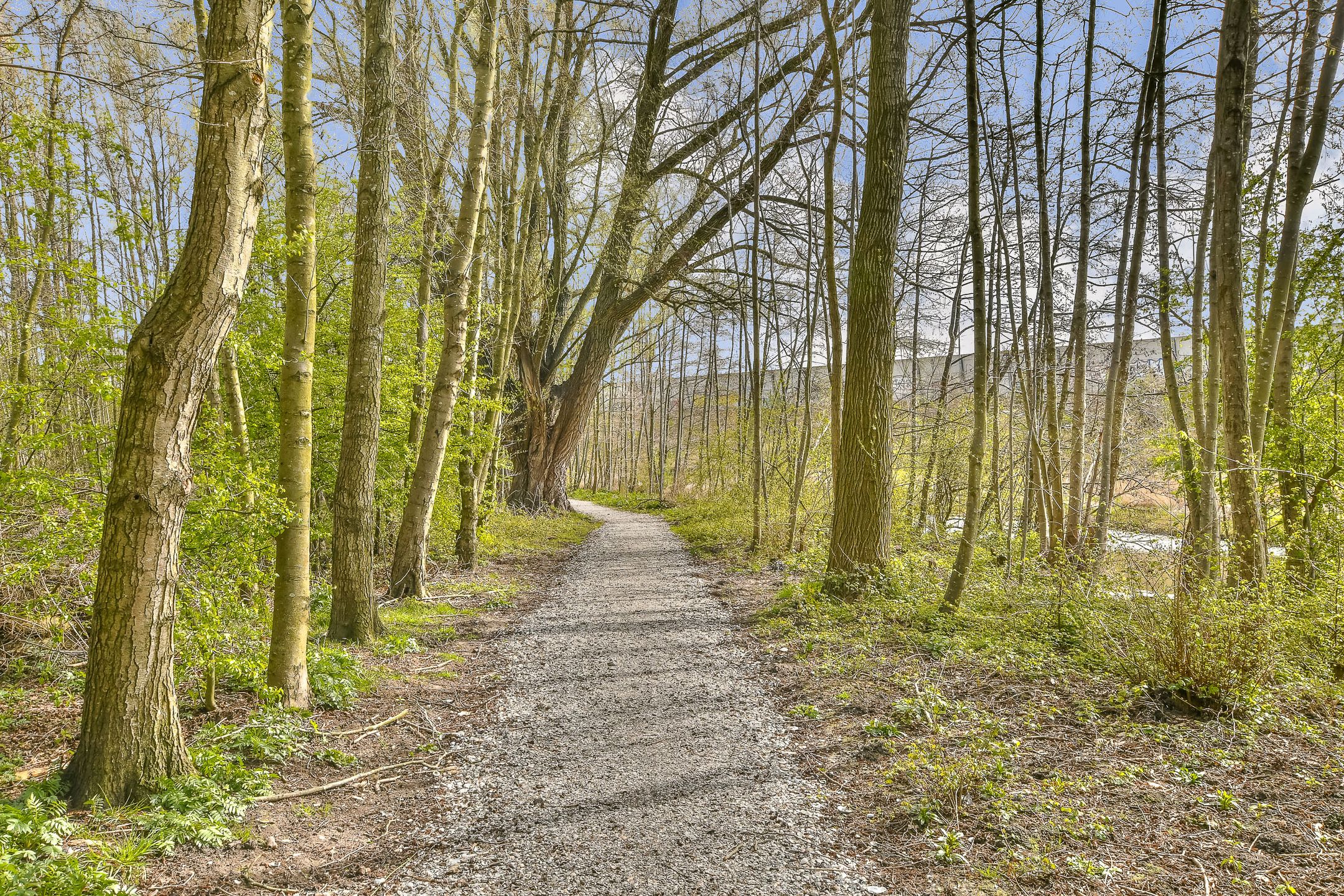 Foto 21 van Windestraat 162