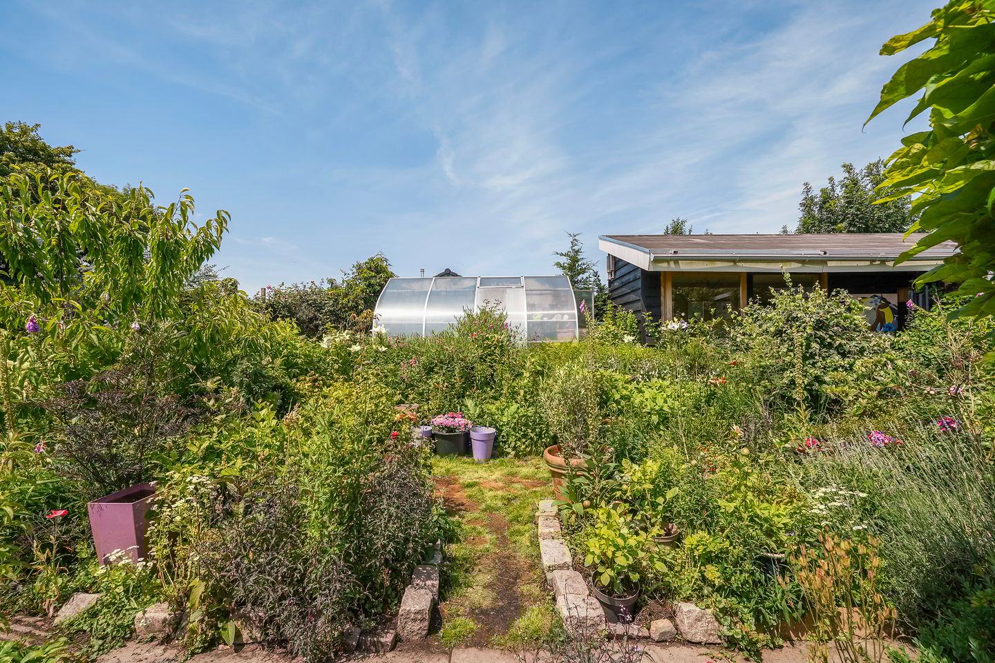 Foto 44 van Wilnisse Zuwe 58-AR18