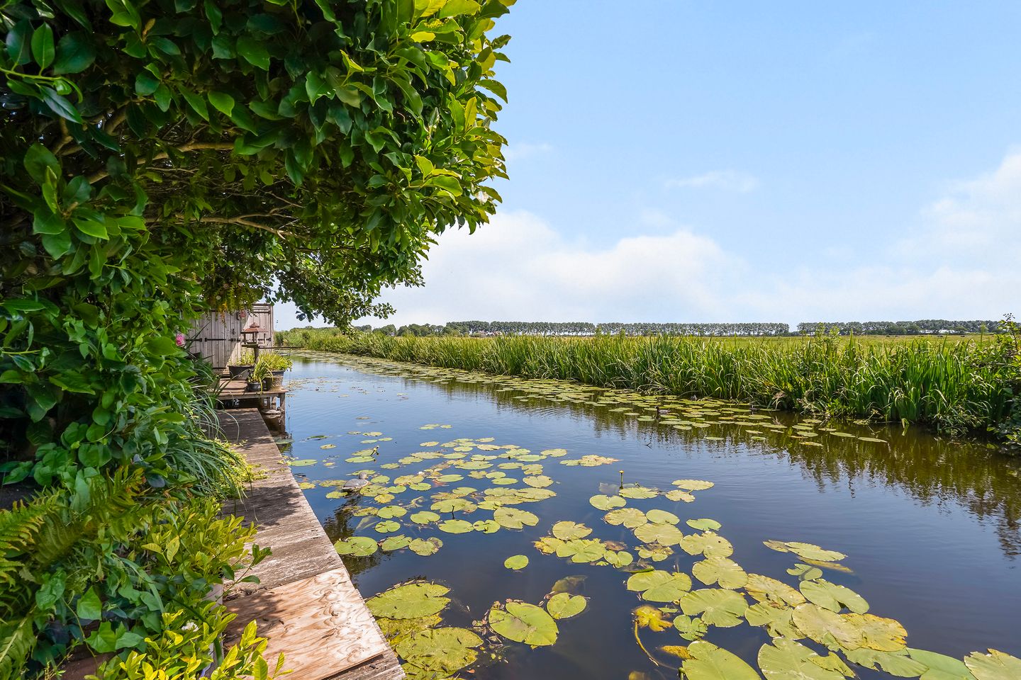 Foto 50 van Wilnisse Zuwe 58-AR18