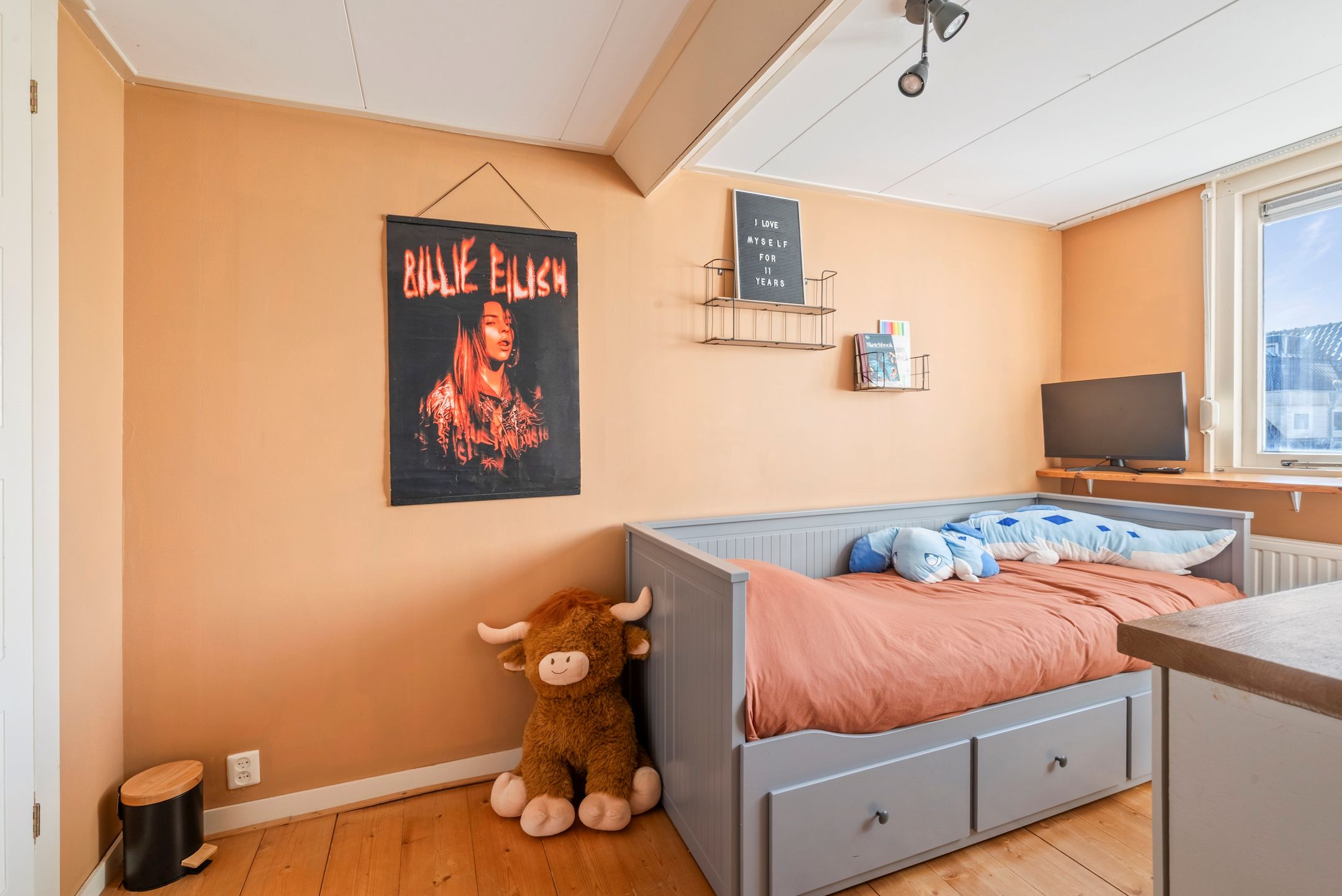 Photo 33 of Buys Ballotstraat 22