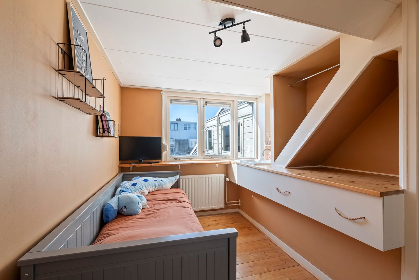 Photo 34 of Buys Ballotstraat 22