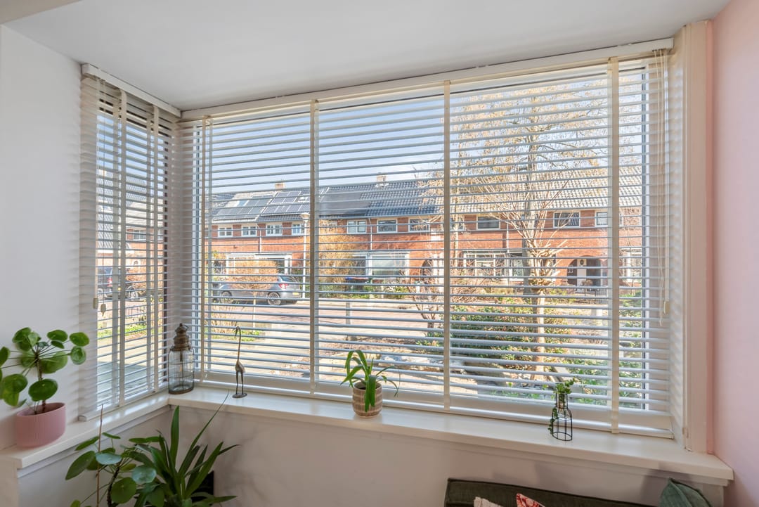 Photo 11 of Buys Ballotstraat 22