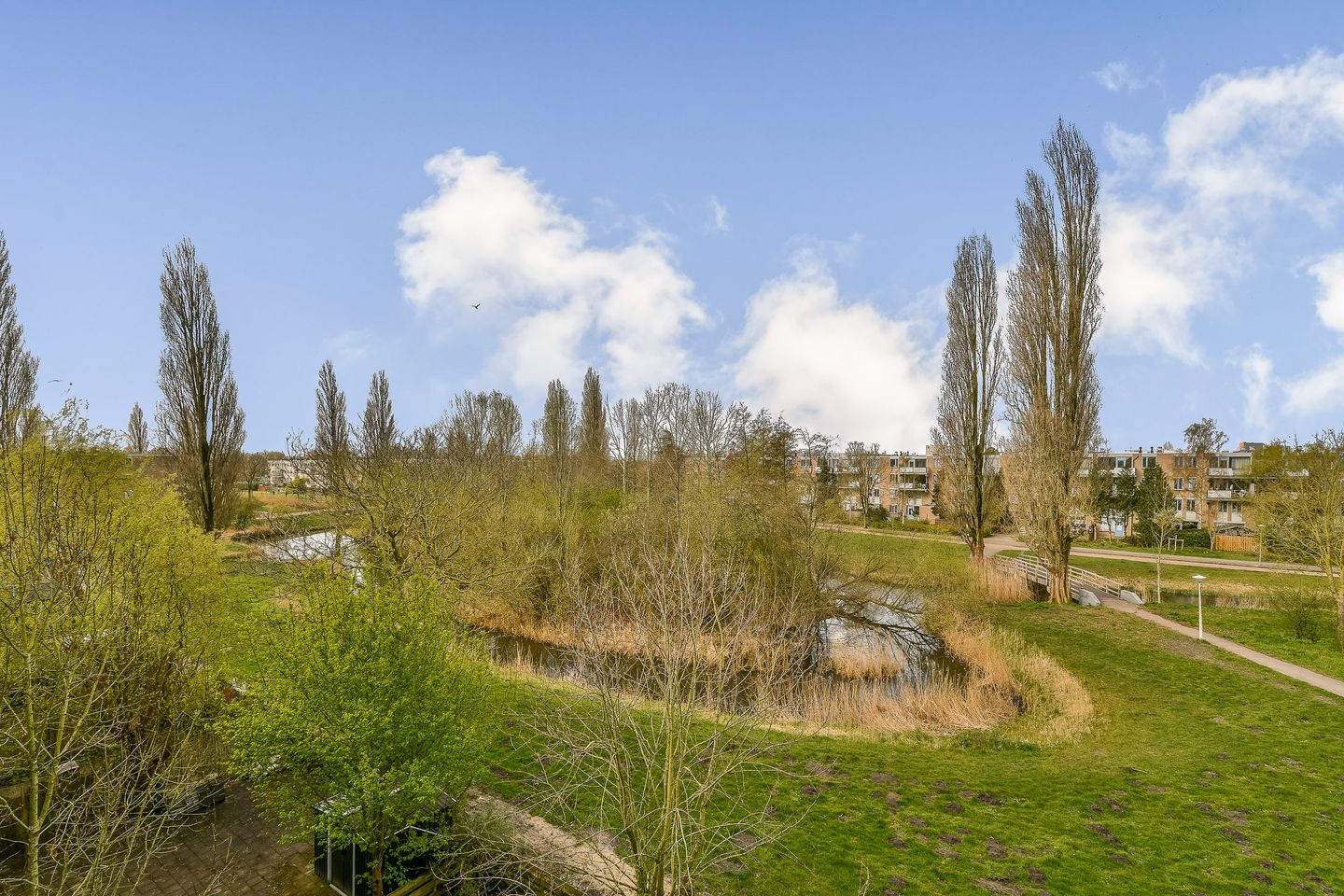 Foto 5 van Werkhovenstraat 24