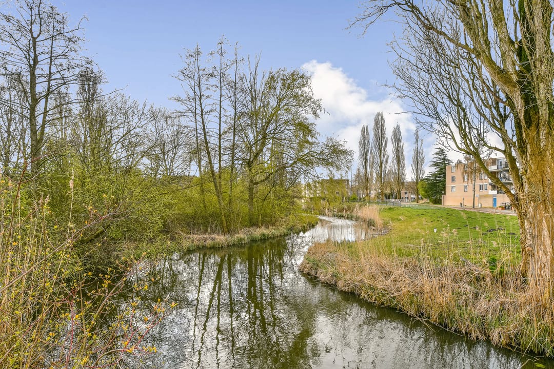 Foto 26 van Werkhovenstraat 24