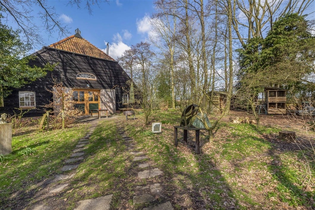 Photo 7 of Numero Dertien 8