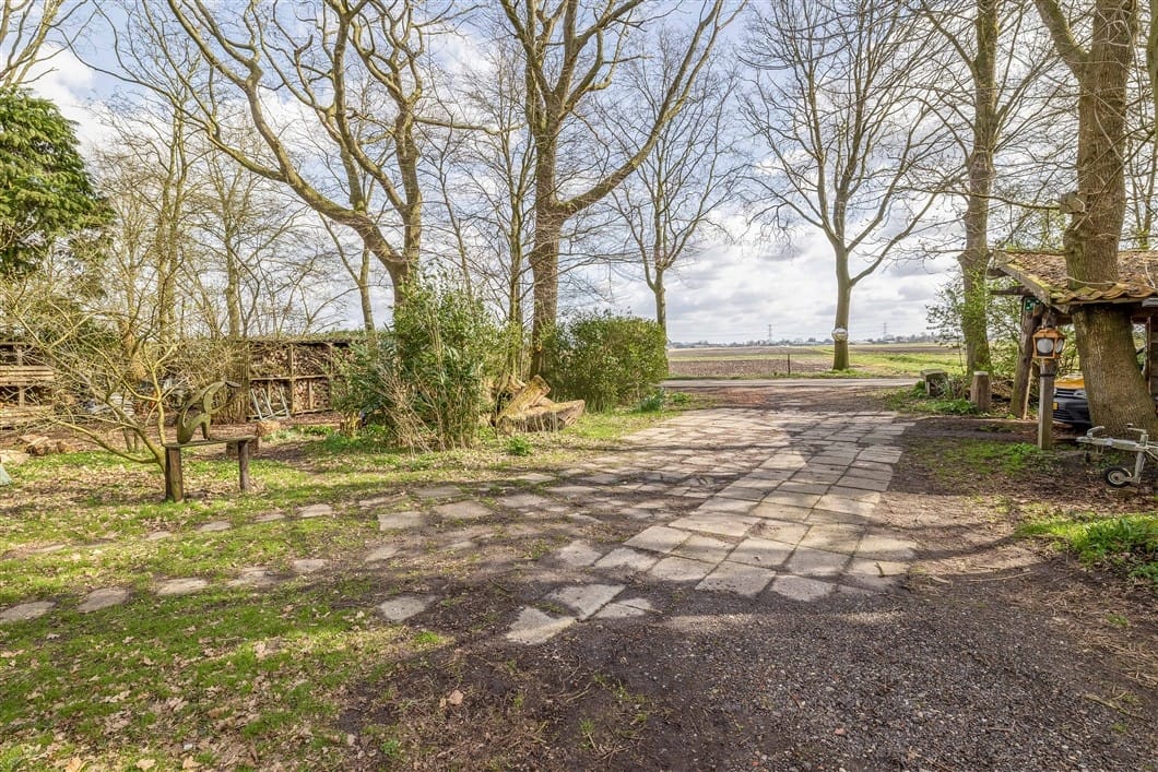 Photo 34 of Numero Dertien 8