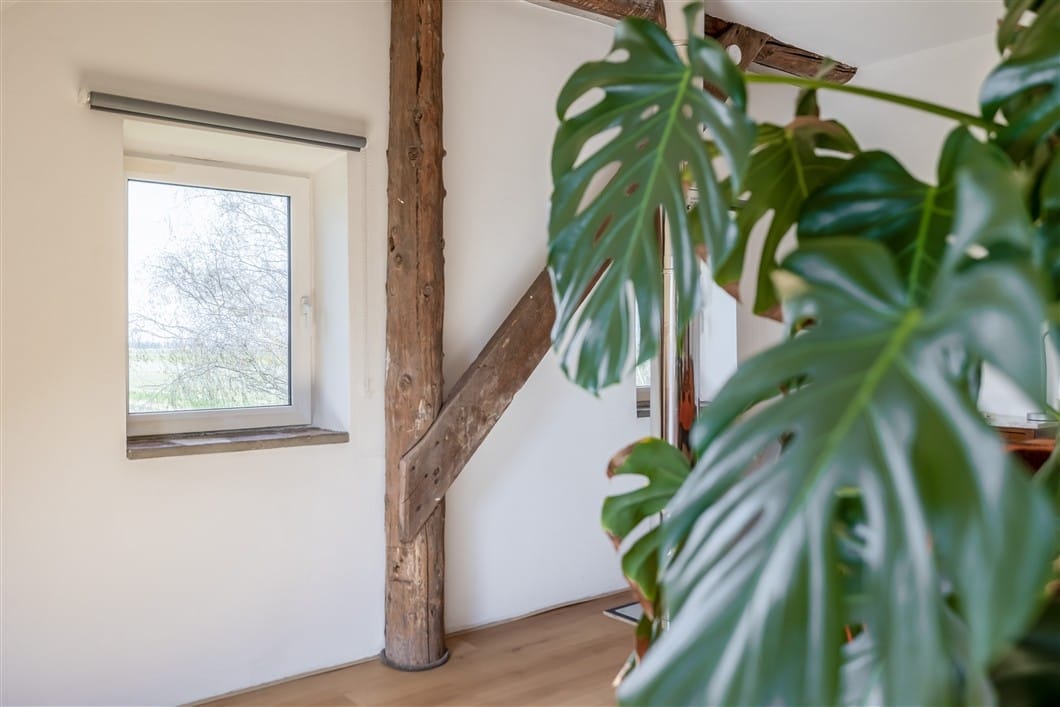 Photo 46 of Numero Dertien 8