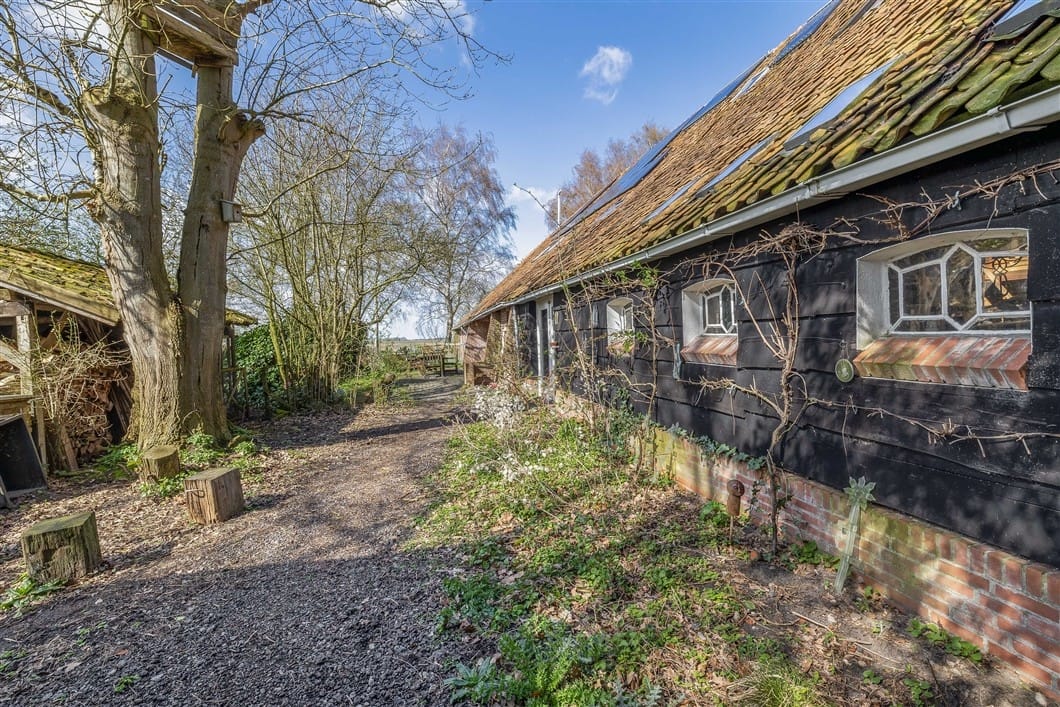 Photo 37 of Numero Dertien 8