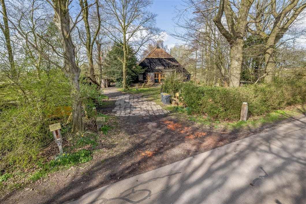 Photo 6 of Numero Dertien 8