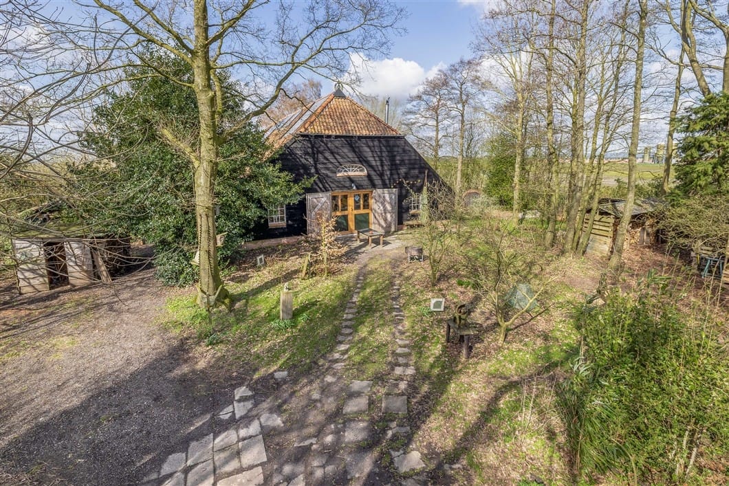 Photo 2 of Numero Dertien 8