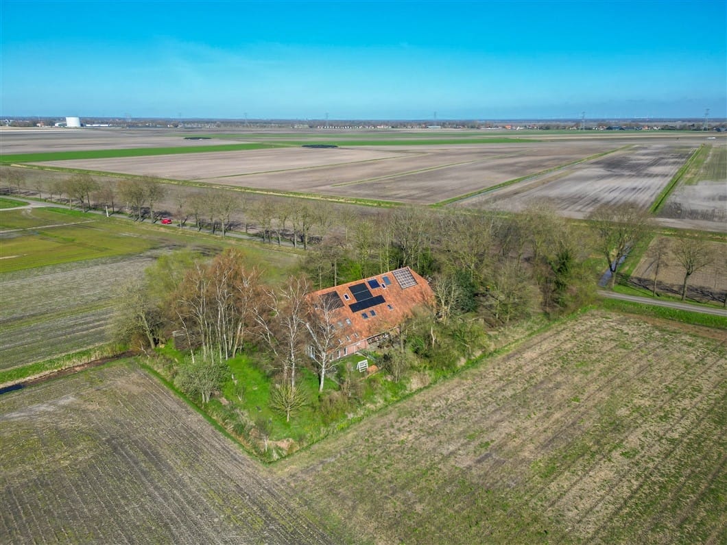 Photo 1 of Numero Dertien 8