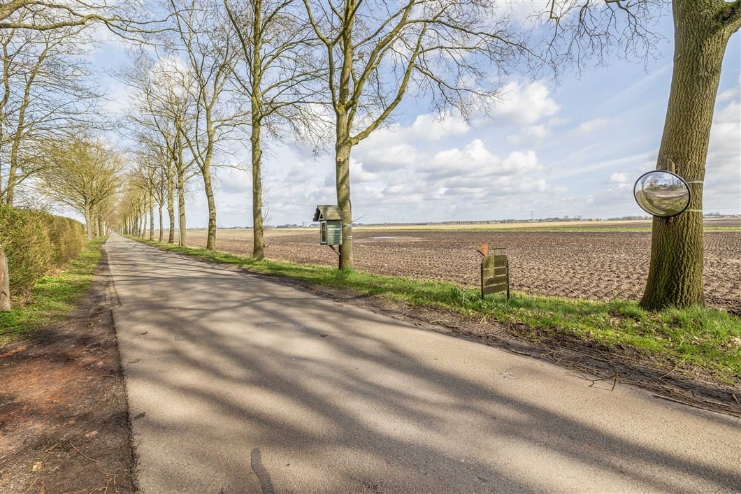 Photo 35 of Numero Dertien 8