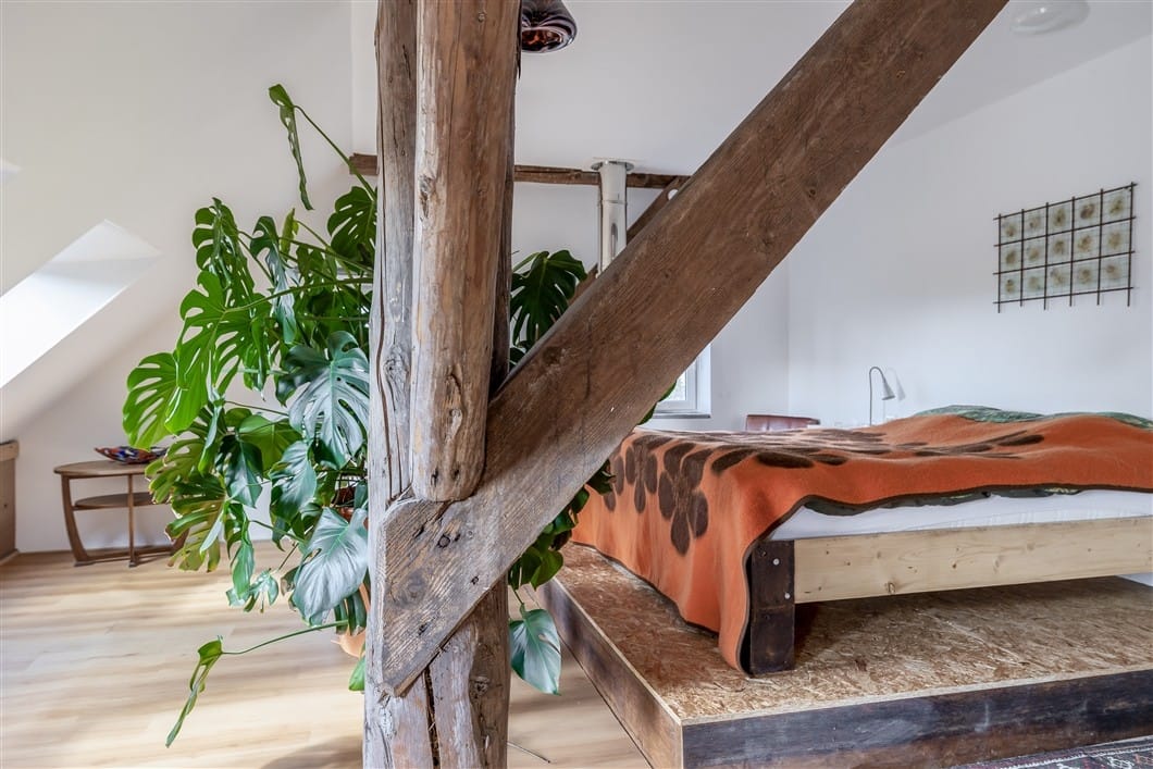 Photo 44 of Numero Dertien 8