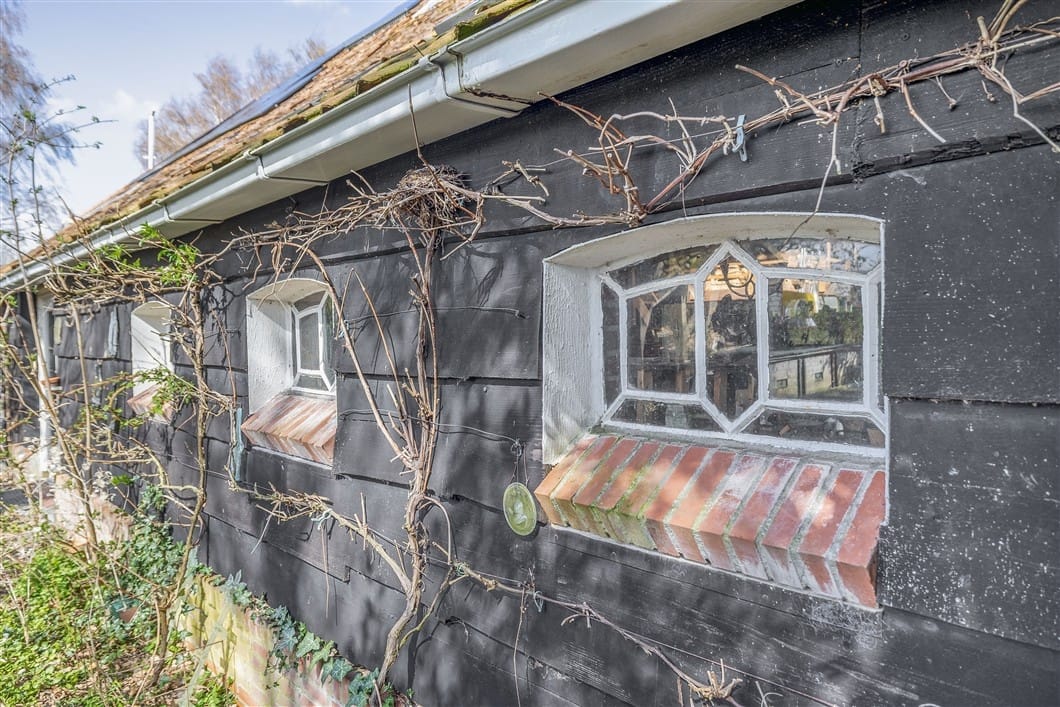 Photo 62 of Numero Dertien 8