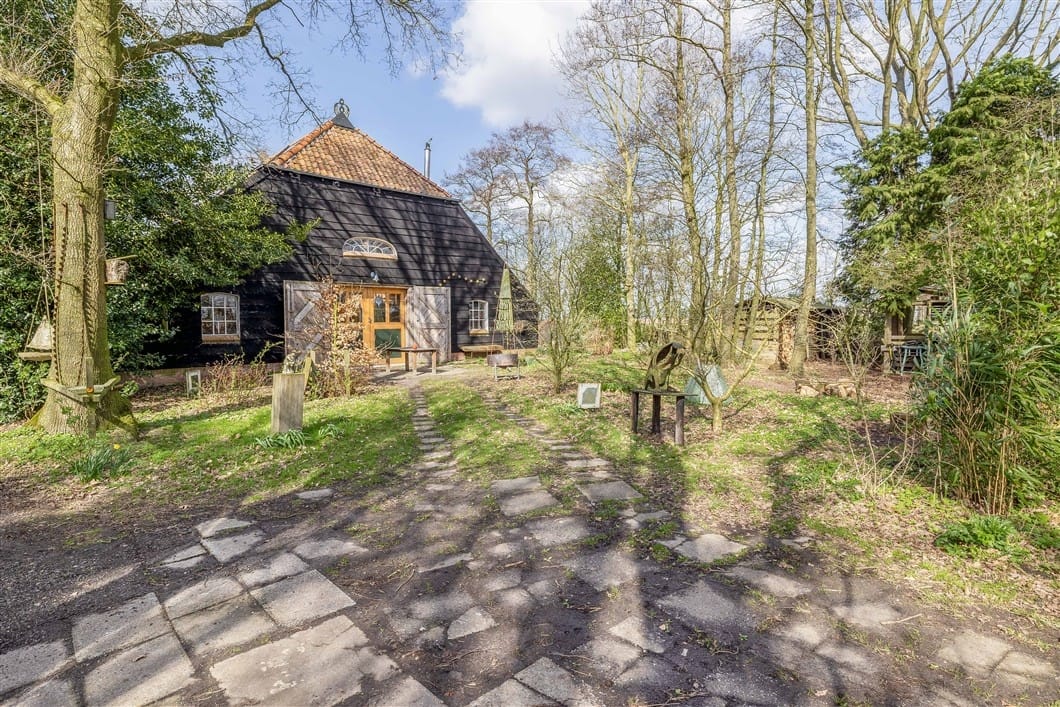 Photo 82 of Numero Dertien 8