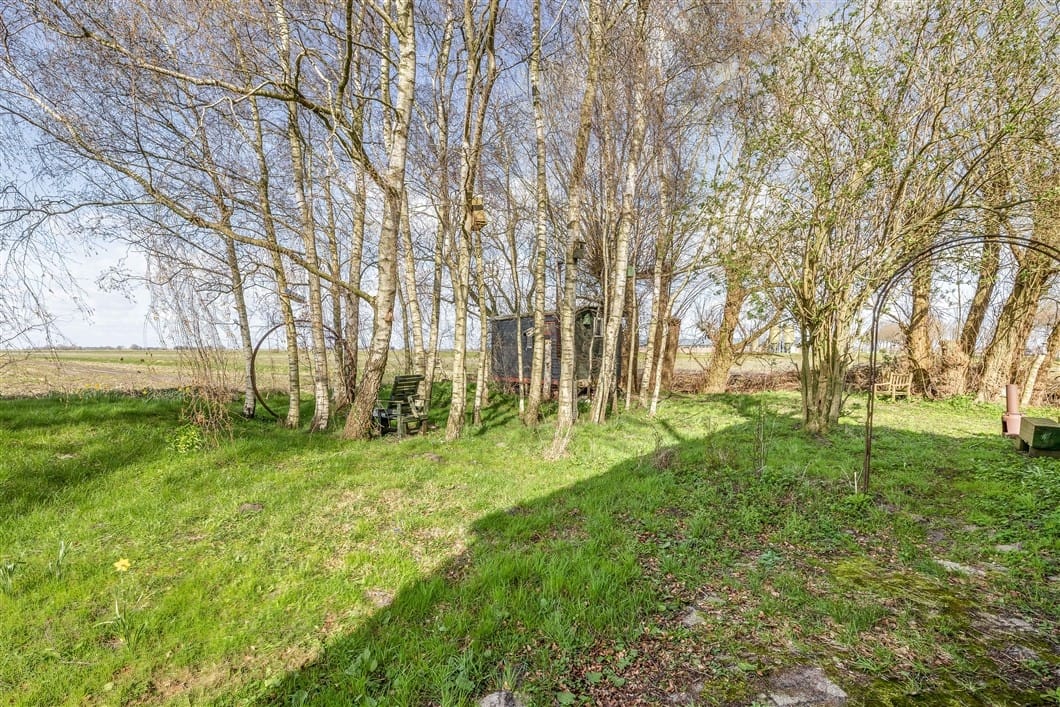 Photo 85 of Numero Dertien 8