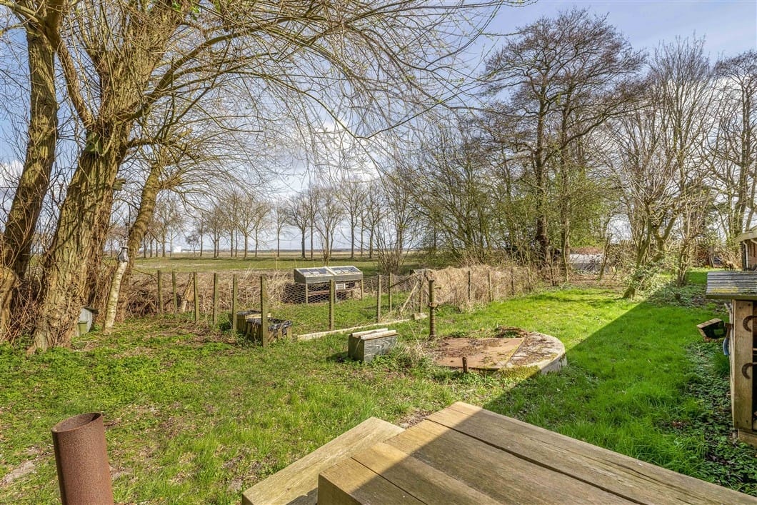 Photo 87 of Numero Dertien 8