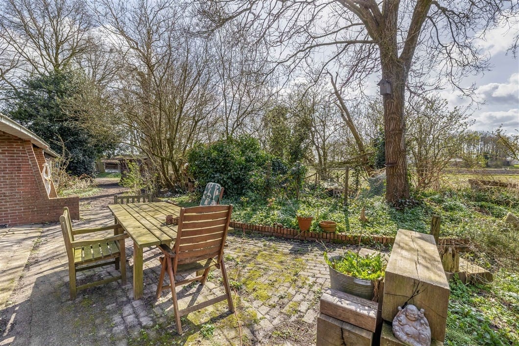 Photo 64 of Numero Dertien 8